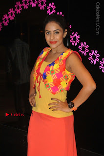 Telugu Actress Model Sri Reddy Latest Stills in Yellow Dress  0021.JPG