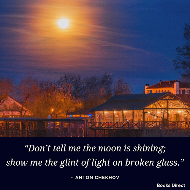 “Don’t tell me the moon is shining; show me the glint of light on broken glass.”  ~ Anton Chekhov