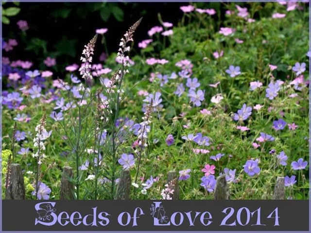 Seeds of Love 2014