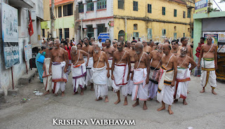 Kodai Utsavam, Tholukiniyaan, Purappadu,Video, Divya Prabhandam,Sri Parthasarathy Perumal, Triplicane,Thiruvallikeni,Utsavam,