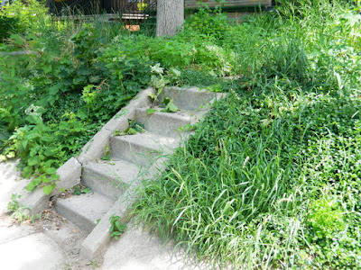 Palmerston Toronto Front Garden Clean up before by Paul Jung Gardening Services