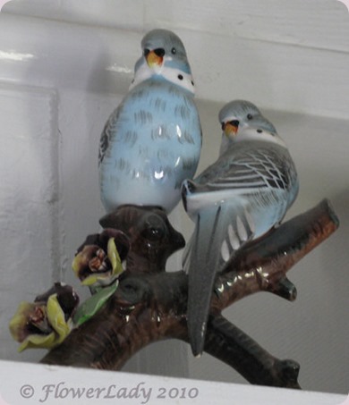 09-05-lovebirds4