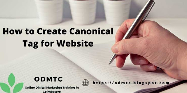 How to Create Canonical Tag for Website