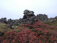 The Berserker’s Lava Field, West Iceland