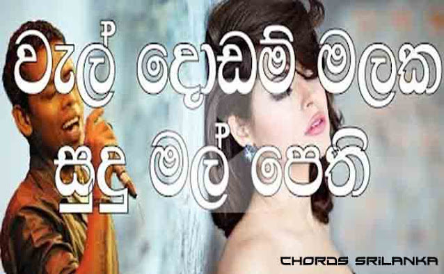 Wal Dodam Malaka chord, Wal Dodam Malaka mp3, Wal Dodam Malaka song chords, Chamara weerasinghe song chords, Chamara weerasinghe songs,