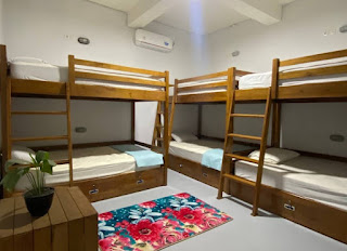 Bunk in Shared Dorm Room