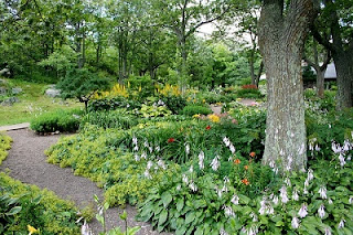 formal garden path