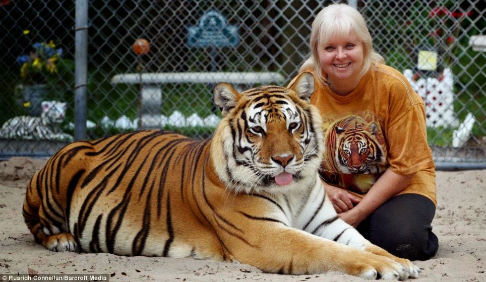 Janice Haley, Janice Haley And Her Tigers, Samber, Janda