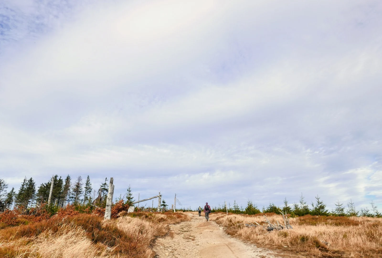 Szlak w Beskidzie Śląskim. Wisła na weekend. Malinowska Skała. Beskid Śląski atrakcje. Beskid Śląski mapa. Beskid Śląski szczyty. Pętla Cieńkowska. Beskid Śląski z dzieckiem. Beskid Śląski rodzinnie.