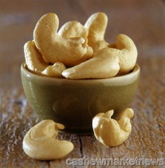 cashewnews_001