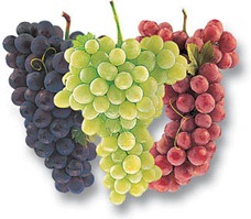 Thing To Void During Pregnancy Like Fruit
