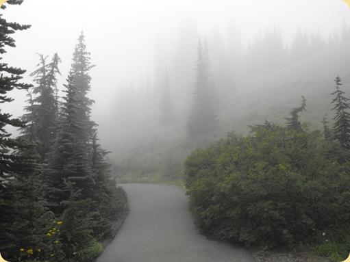 Mt. Rainier National Park 218