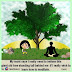 Learn to Meditate from a Tree