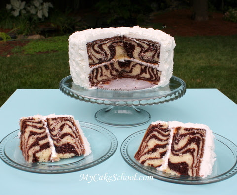 Zebra Print Birthday Cakes on Birthday Party Blog Guest Tutorial How To Make A Zebra Cake With