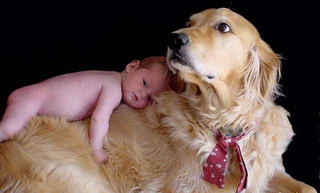 Kids and Pets Seen On www.coolpicturegallery.us