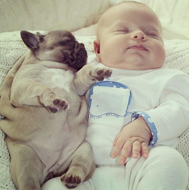 子犬と眠る赤ちゃんが可愛いと話題に 三つ目横丁