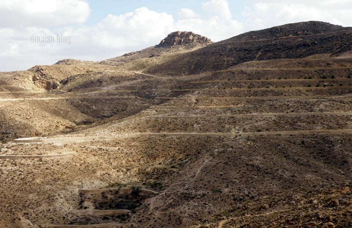 PA045255