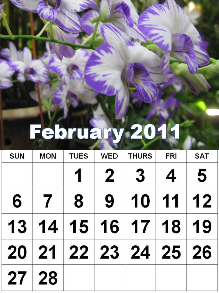 february calendar 2012. sri lanka desk calendar 2012
