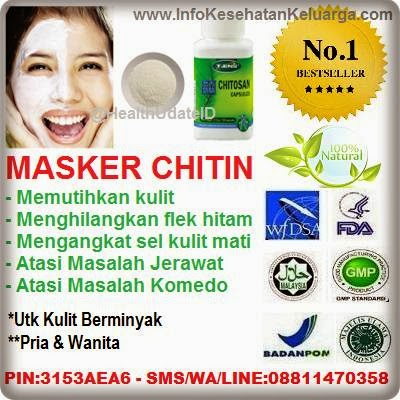 Masker Chitin