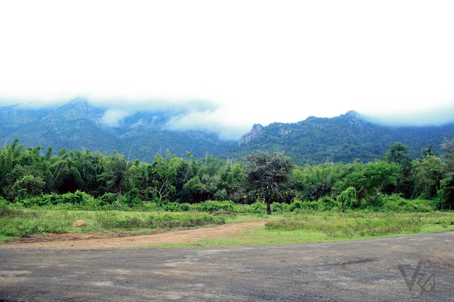 Nilgiri Mountains as seen from Masinagudi