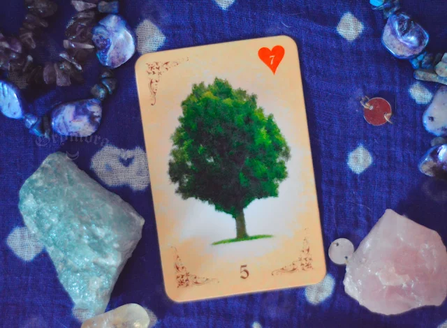 Saiba o significado da Carta 5 - A Árvore no Baralho Cigano ou Lenormand e combinações no amor, dinheiro e trabalho, obstáculo e conselho.