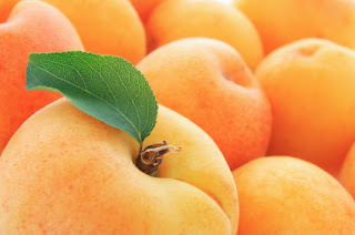  Apricots of Pakistan are exported