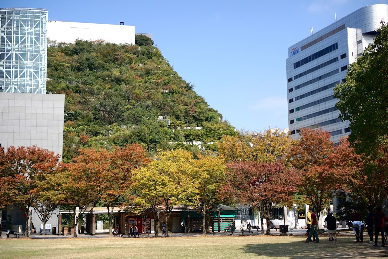 アクロス福岡（ACROS FUKUOKA）と天神中央公園（Tenjin Central Park）