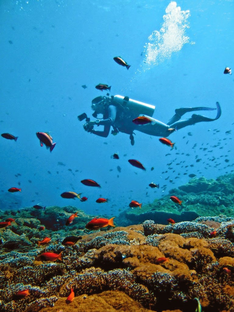 10 Places You Shouldn't Miss in Indonesia | Scuba diving in Bali Nusa Lembongan 