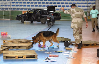 Cães farejadores participam das provas de detecção de armas e entorpecentes durante a competição
