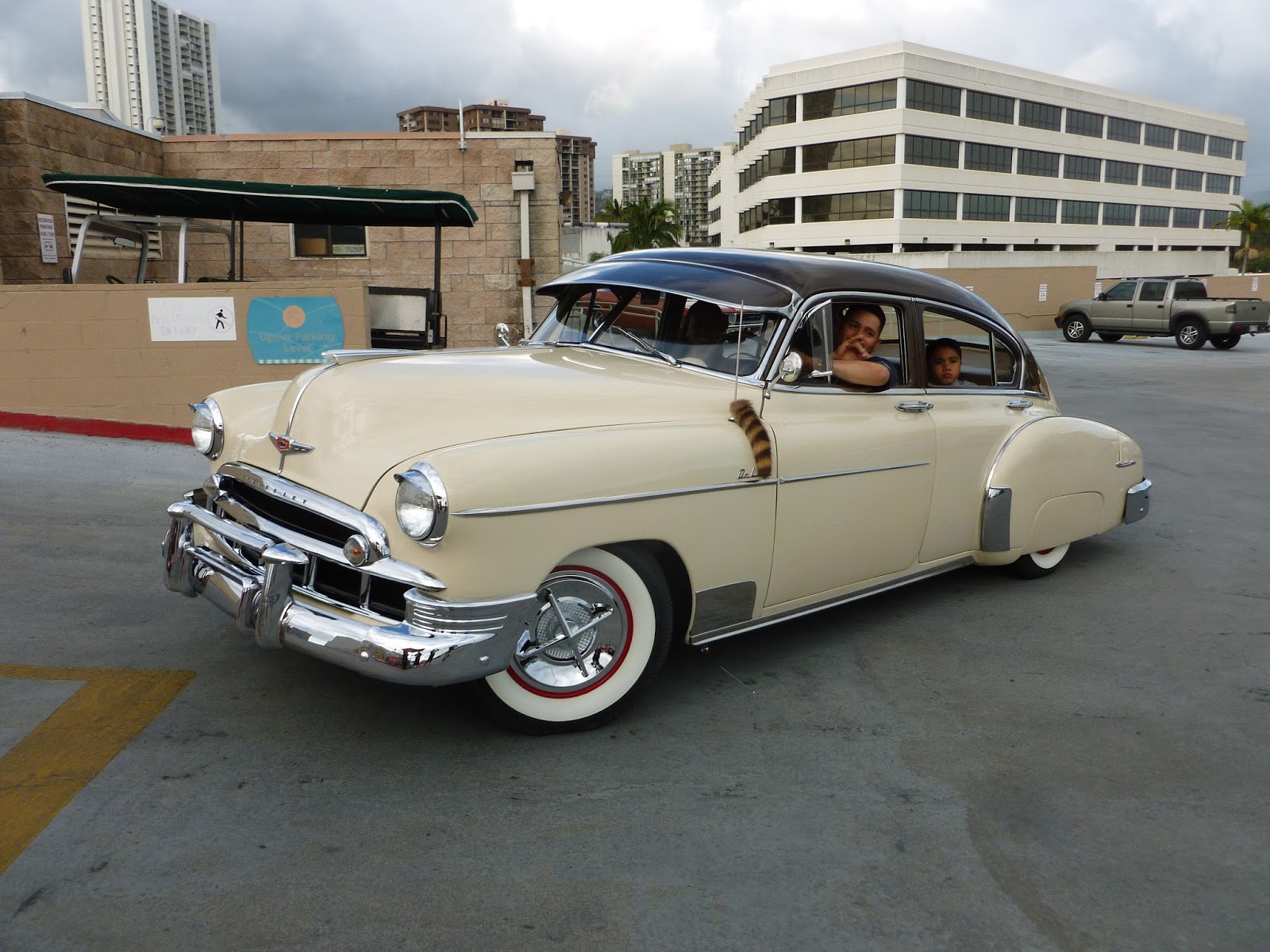 cruise night schedule