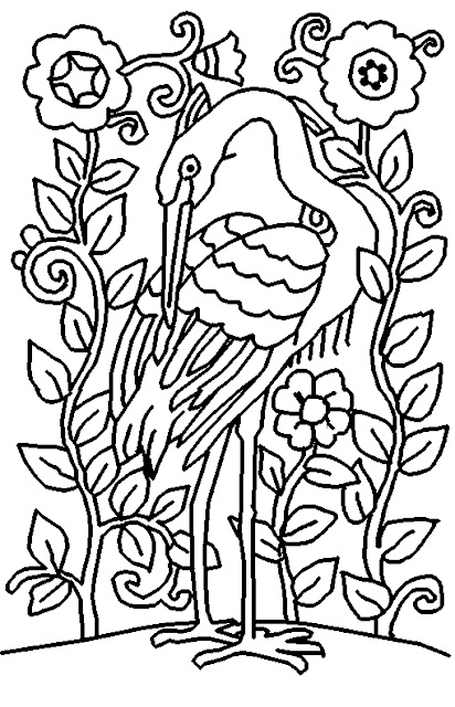 free bird coloring page