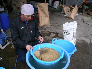 無農薬の米作りに欠かせない塩水選