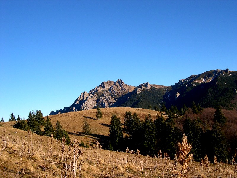 ciucash-necucerit-088