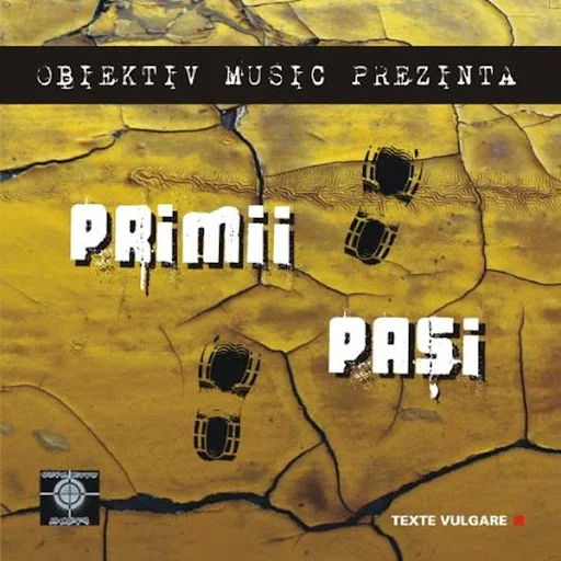 Primii-pasi