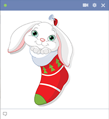 Bunny in Christmas stocking