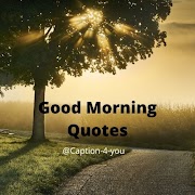 List of Top 50 Beautiful Good Morning Quotes | Quotes That Make Your Day Beautiful
