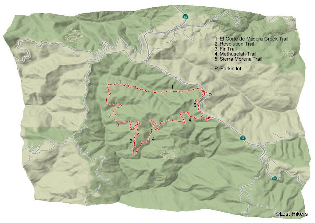 Map of routes hiked in El Corte de Madera Creek Open Space Preserve