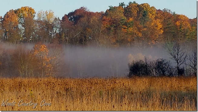 20161104_084701