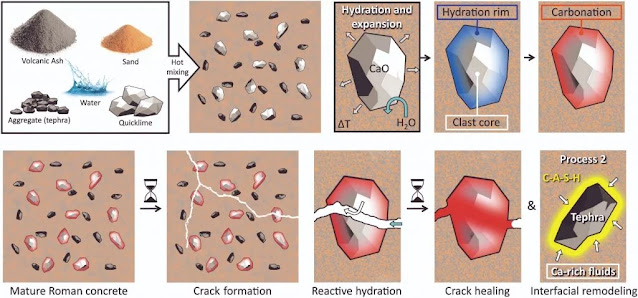 Σχηματική αναπαράσταση ρωμαϊκού σκυροδέρματος. Με κόκκινο διακρίνονται οι κόκοι αξειδίου του ασβεστίου οι οποίοι παρέμεναν εγλωβισμένοι και αδρανείς. Η δημιουργία ρωγμών στο σκυρόδερμα και η είσοδος νερού σε αυτές είχε ως αποτέλεσμα την ενυδάτωση των κόκκων οξειδίου του ασβεστίου. Η επαφή νερού και οξειδίου ασβεστιου οδηγούσε αρχικά στην παραγωγή υδρασβέστου. Η αντίδραση της υδρασβέστου με άλλα υλικά του σκυροδέρματος οδηγούσε στην επούλωση των πληγών.
