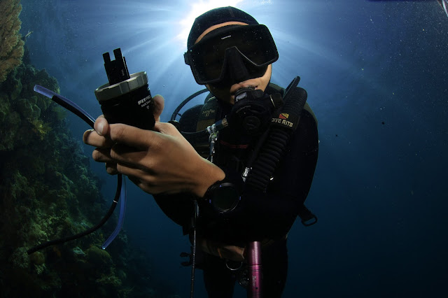 Scuba Diving, Underwater Photography, PaparazSea, Jun V Lao