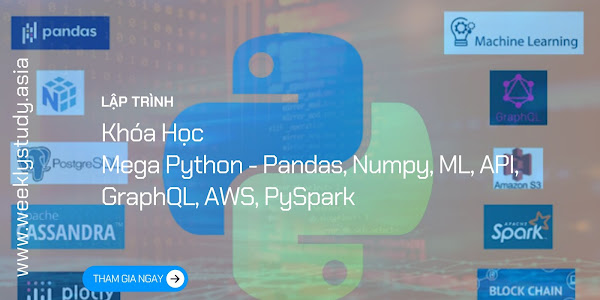 Giới Thiệu Khóa Học Mega Python - Pandas, Numpy, ML, API, GraphQL, AWS, PySpark [Mã - 7705 A]