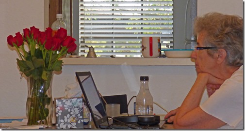 Marcia's Valentine Flowers 