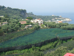 A view of which I never tire... from the Hotel Dania at Capo di Sorrento