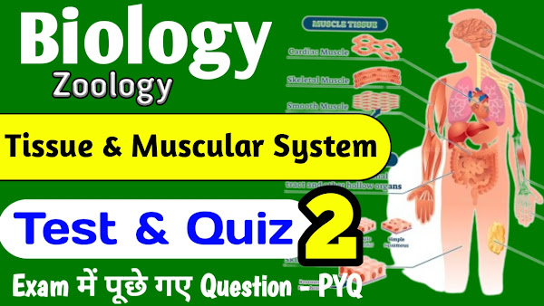 Tissue and Muscular System Quiz