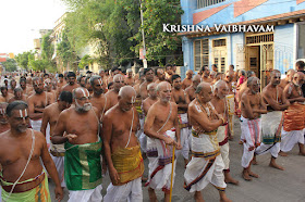 Aani,Almel Pallakku,Purappadu , Vahanam,Sri Theliya Singar, Yoga Narasimhar,Brahmotsavam ,Purappadu,Video, Divya Prabhandam,Sri Parthasarathy Perumal, Triplicane,Thiruvallikeni,Utsavam,