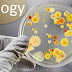 biology - Duke University in United State