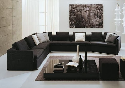 Design Furniture on Luxury Light Living Room Design With Black Furniture
