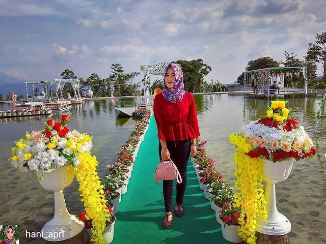 Spot Corner Paling Hits, Wisata Taman Bunga Celosia Bandungan Semarang