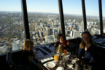 Uitzicht CN Tower