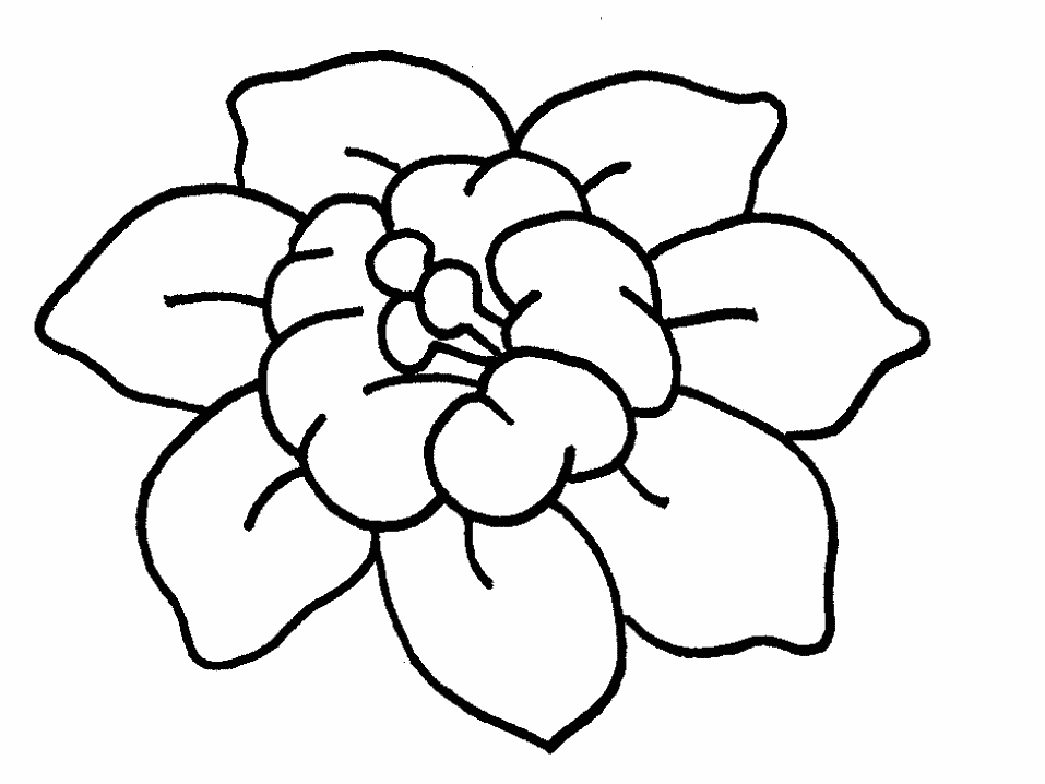 Fotos De Flores Para Pintar E Imprimir - 300 desenhos, riscos, moldes de flores para colorir, imprimir 